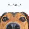mussaur - Hello - EP